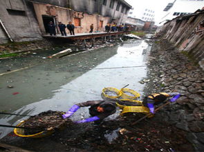 太原市公布水污染治理清单 系统施策，全面提升城市水环境质量