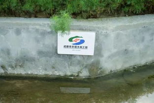 王场镇重拳出击 关闭养殖场，深化水污染治理，守护碧水清流