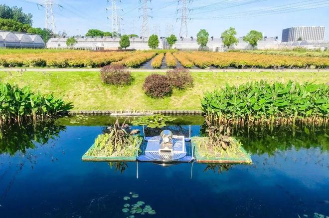 深耕城乡水体污染治理，这位大学生的创业之路