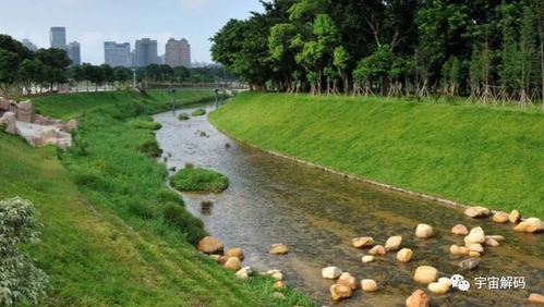 渤海湾的守望 水污染治理与跨海大桥建设背后的考量