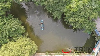 东莞深入推进水污染治理攻坚战，碧水清流重现莞邑