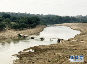 高州小东江水污染治理与湛江携手合作再上新台阶