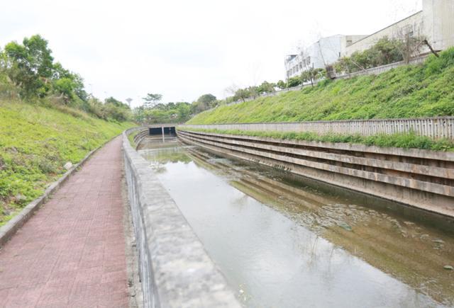 坚决打赢水污染治理攻坚战 还龙岗居民一片水清岸绿