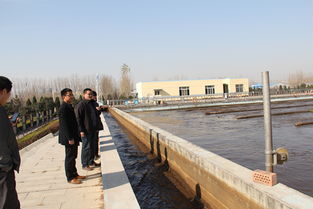 平邑县审计局聚焦水污染治理项目 以专业审计护航生态攻坚成效